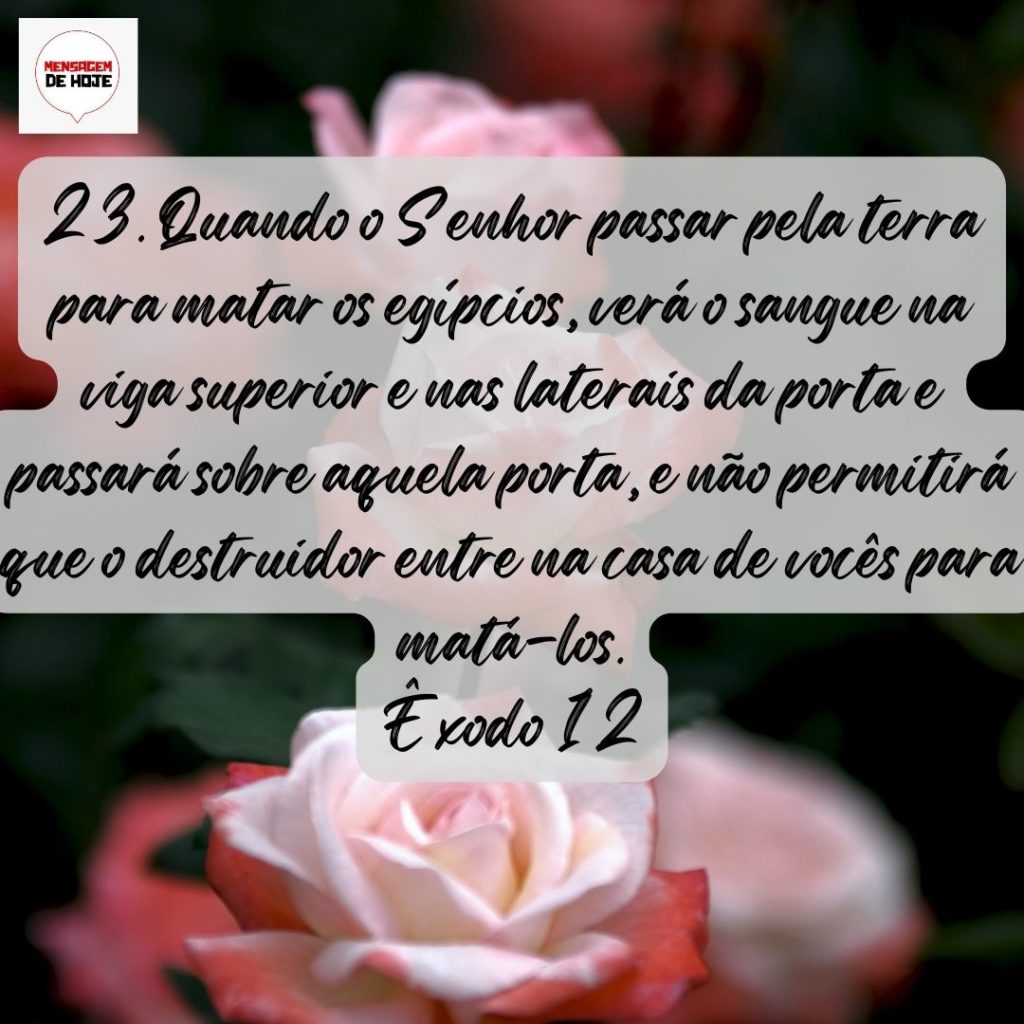 Salmos 07 de Agosto de 2022 5