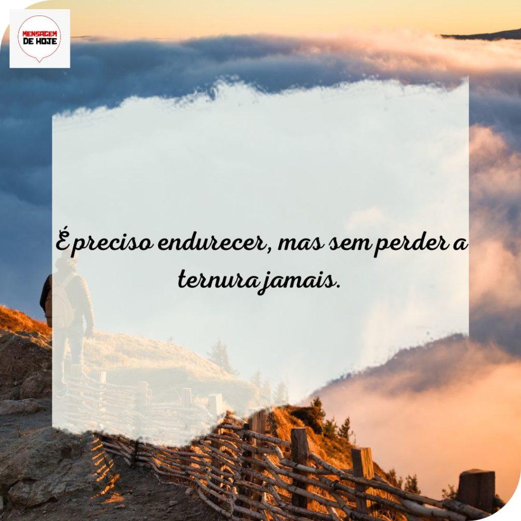 Pensamentos 20 de Julho de 2022 7