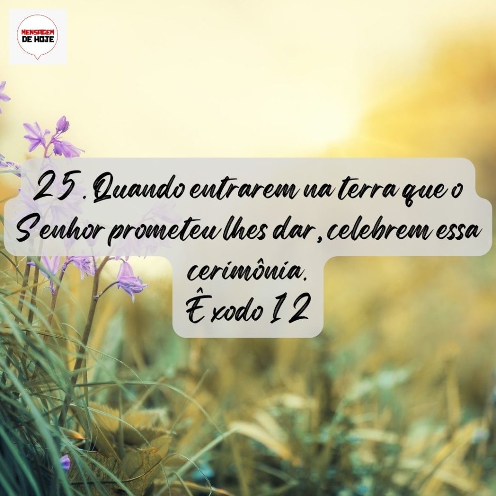 Salmos 07 de Agosto de 2022 9
