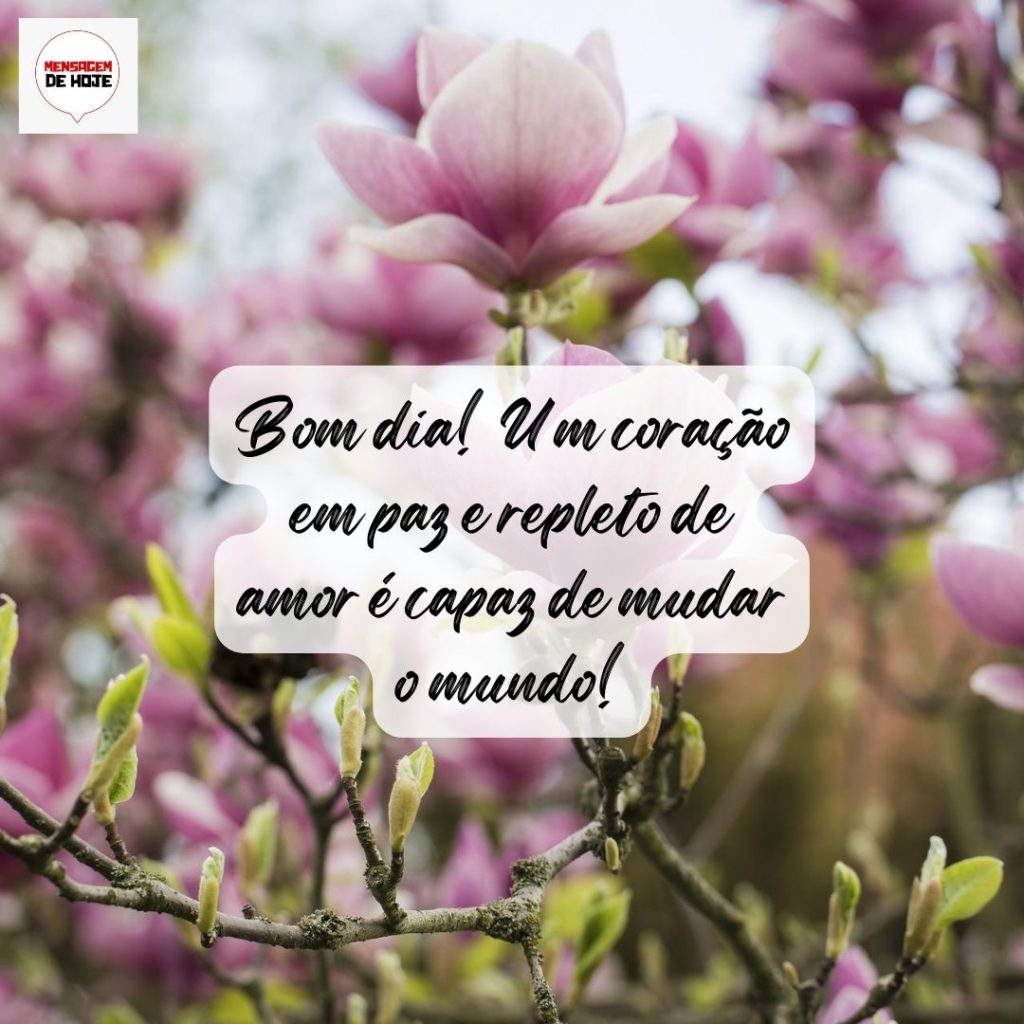 Bom Dia 07 de Agosto de 2022 9