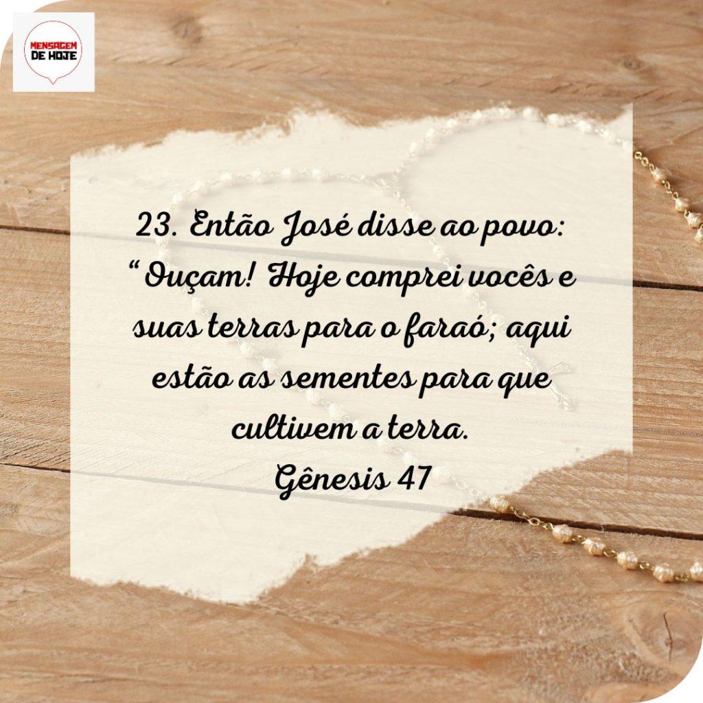 Salmos 24 de Julho de 2022 13