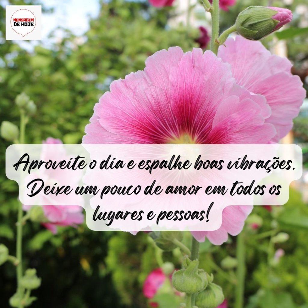 Bom Dia 07 de Agosto de 2022 13