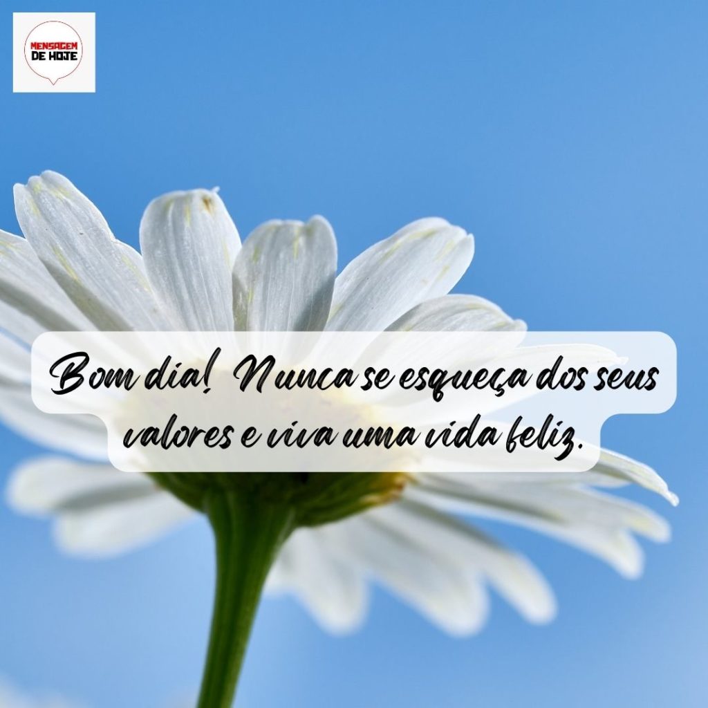 Bom Dia 07 de Agosto de 2022 17