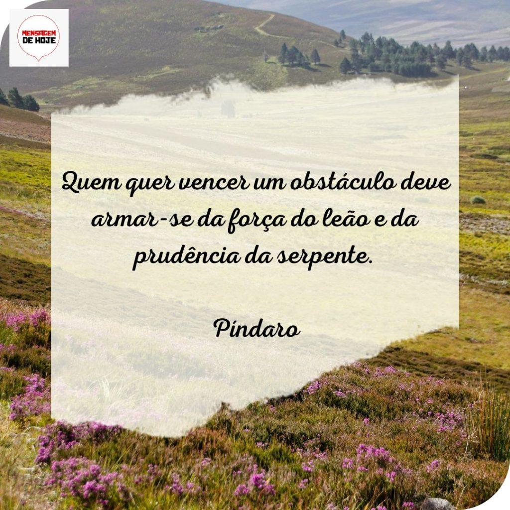 Pensamentos 26 de Julho de 2022 13