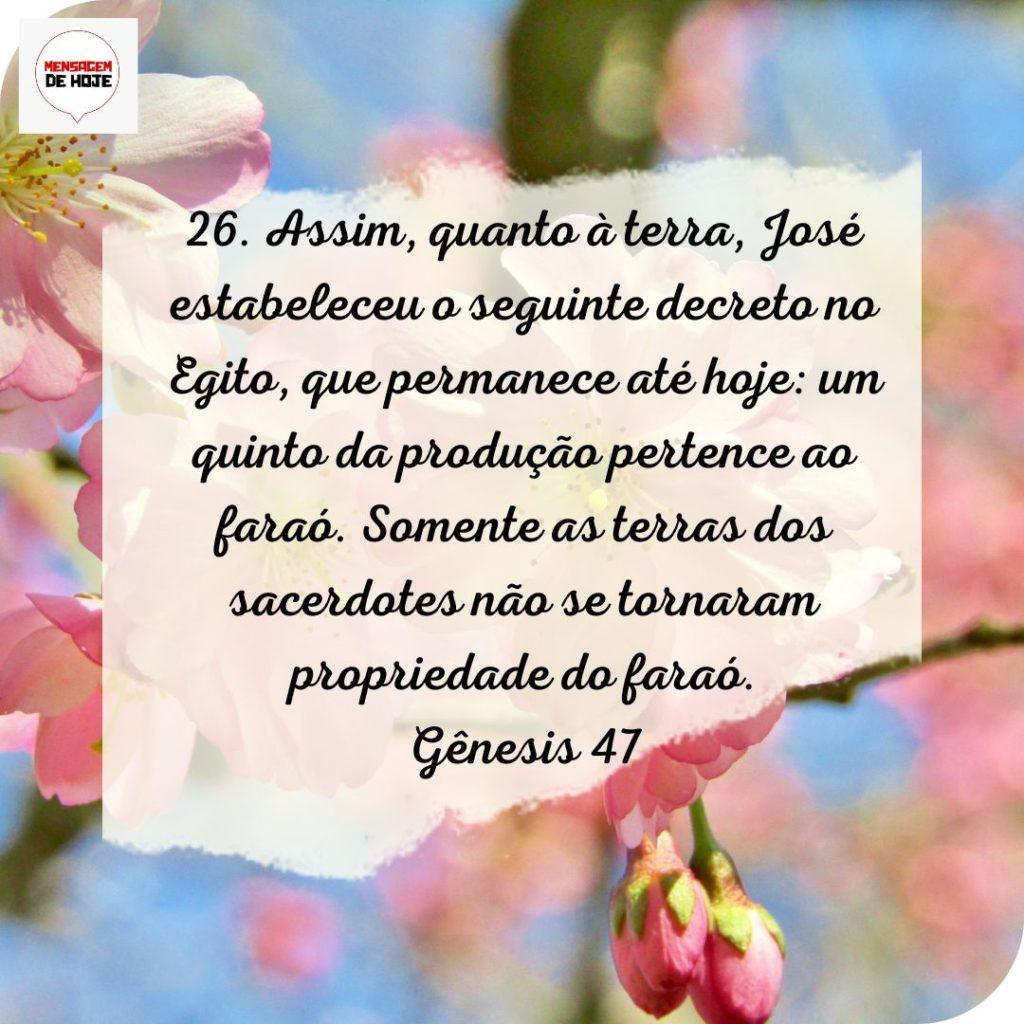 Salmos 24 de Julho de 2022 19