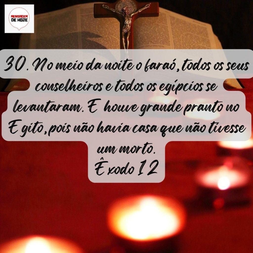 Salmos 07 de Agosto de 2022 19