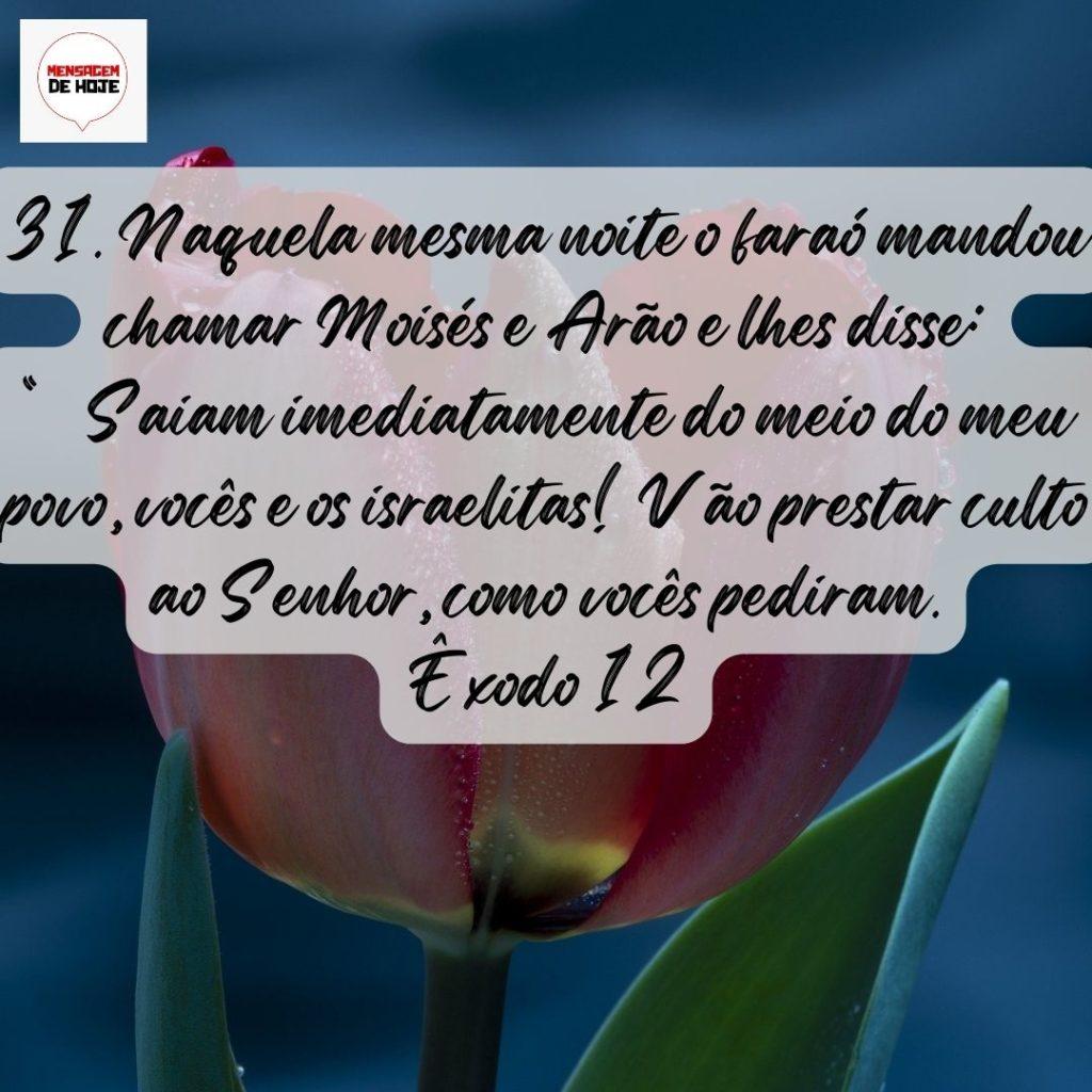 Salmos 08 de Agosto de 2022 1