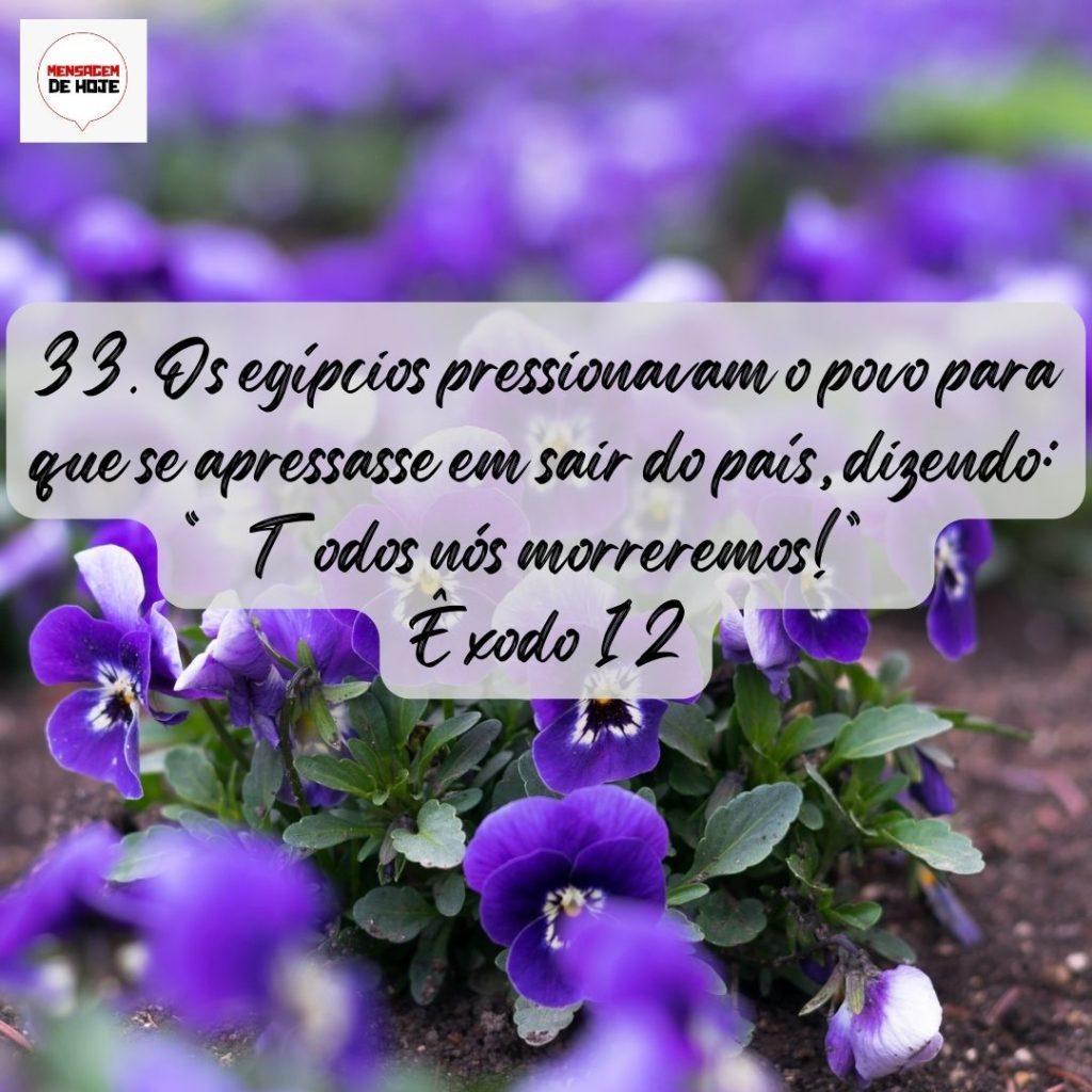 Salmos 08 de Agosto de 2022 5