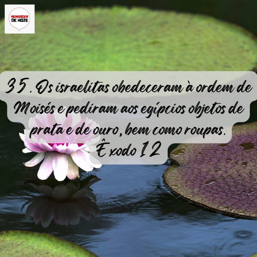Salmos 08 de Agosto de 2022 9