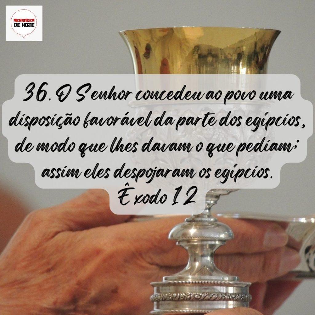 Salmos 08 de Agosto de 2022 11
