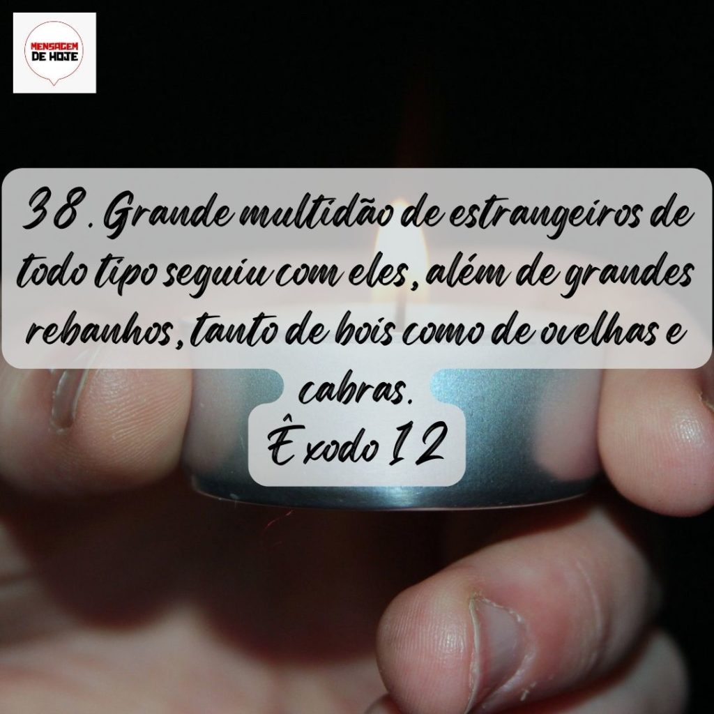 Salmos 08 de Agosto de 2022 15