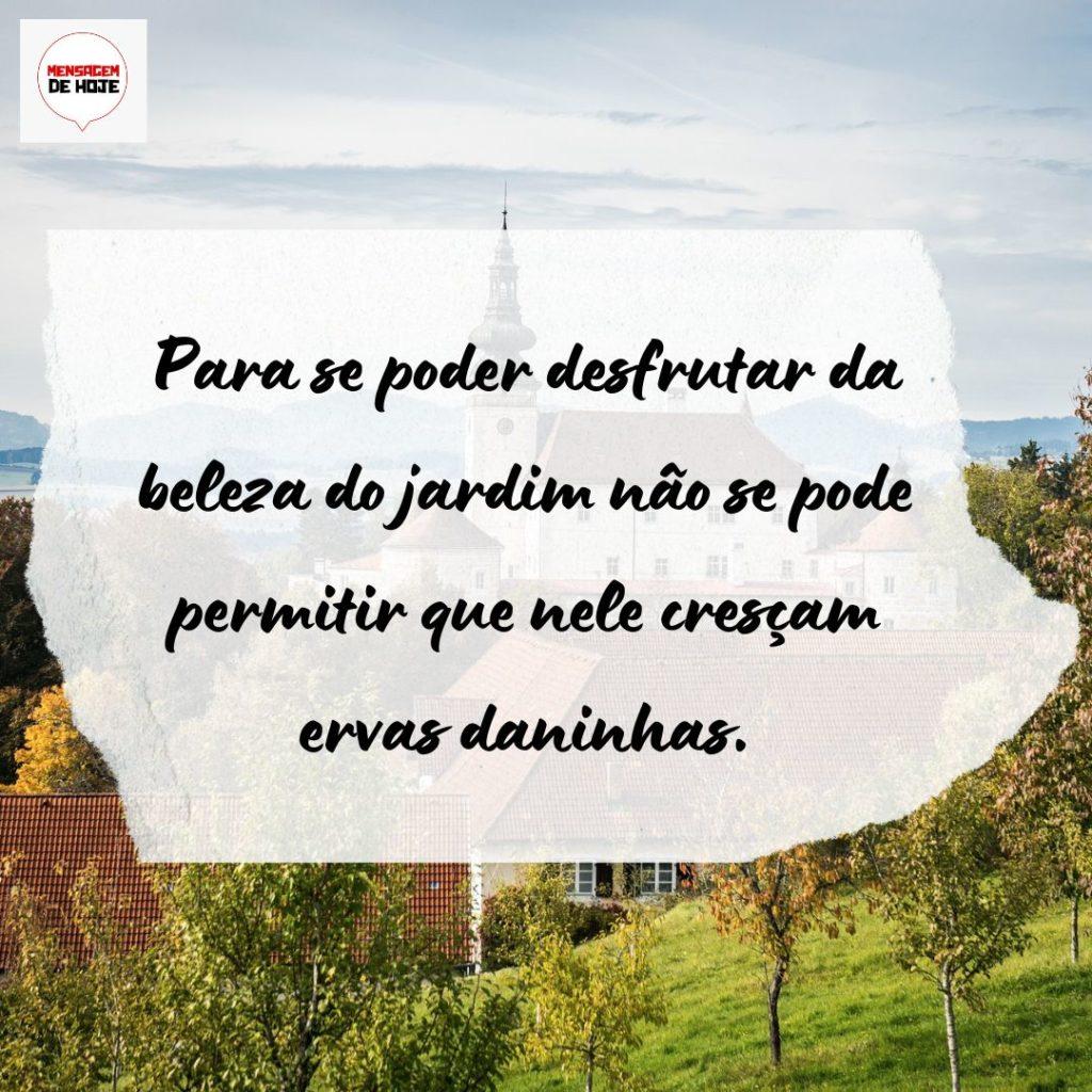 Pensamentos 30 de Julho de 2022 17