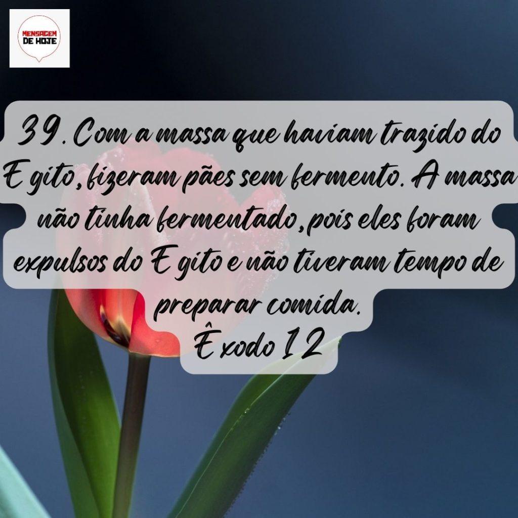Salmos 08 de Agosto de 2022 17