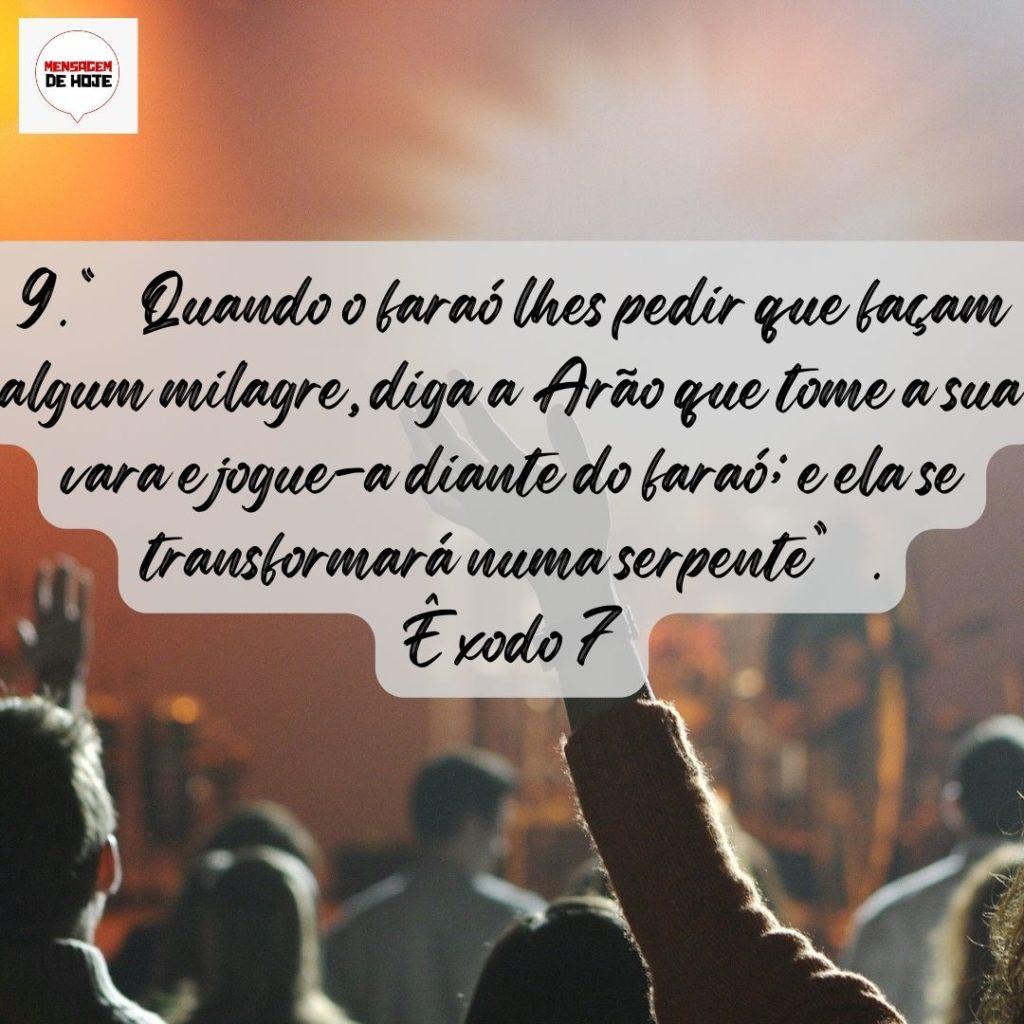 Salmos 29 de Julho de 2022 15