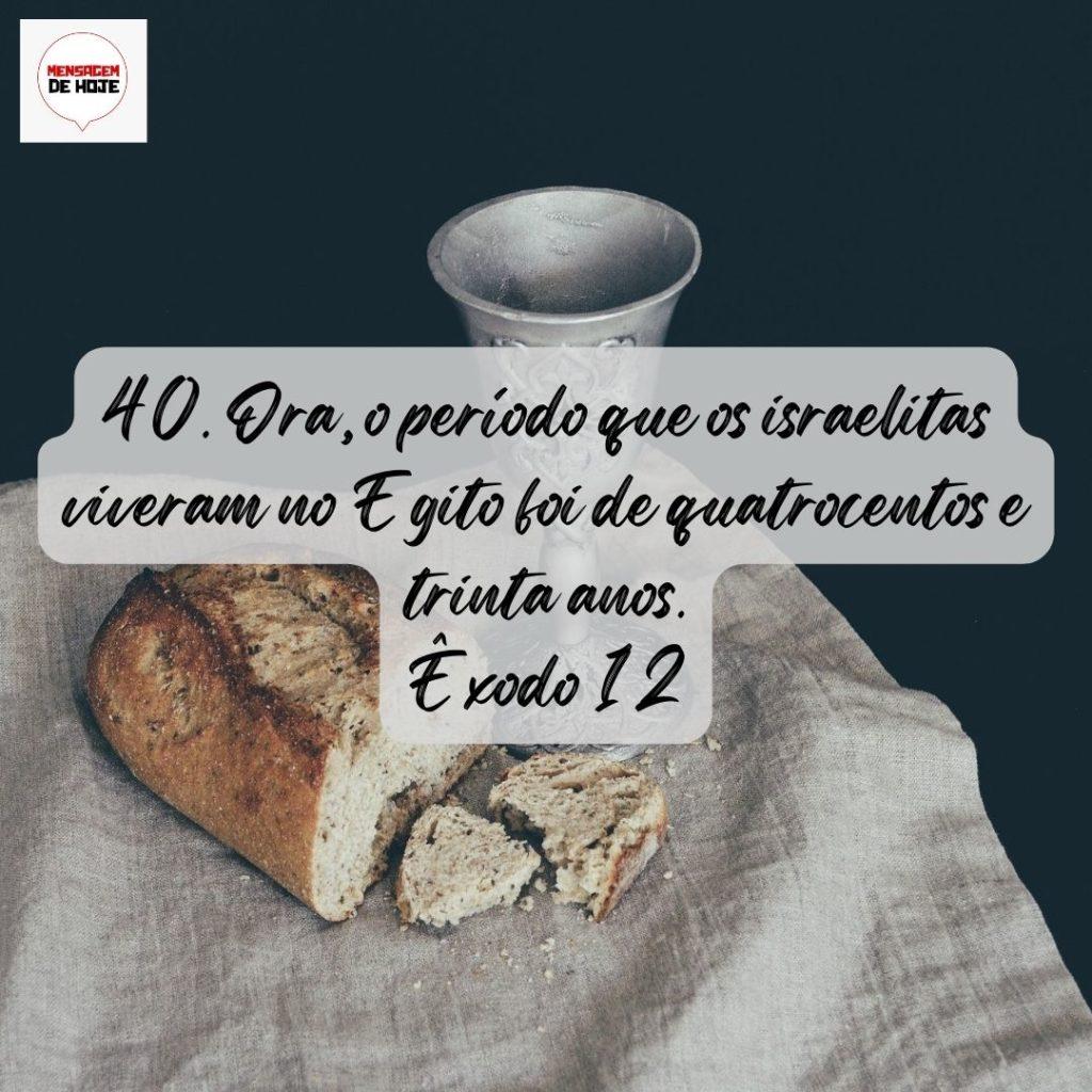 Salmos 08 de Agosto de 2022 19