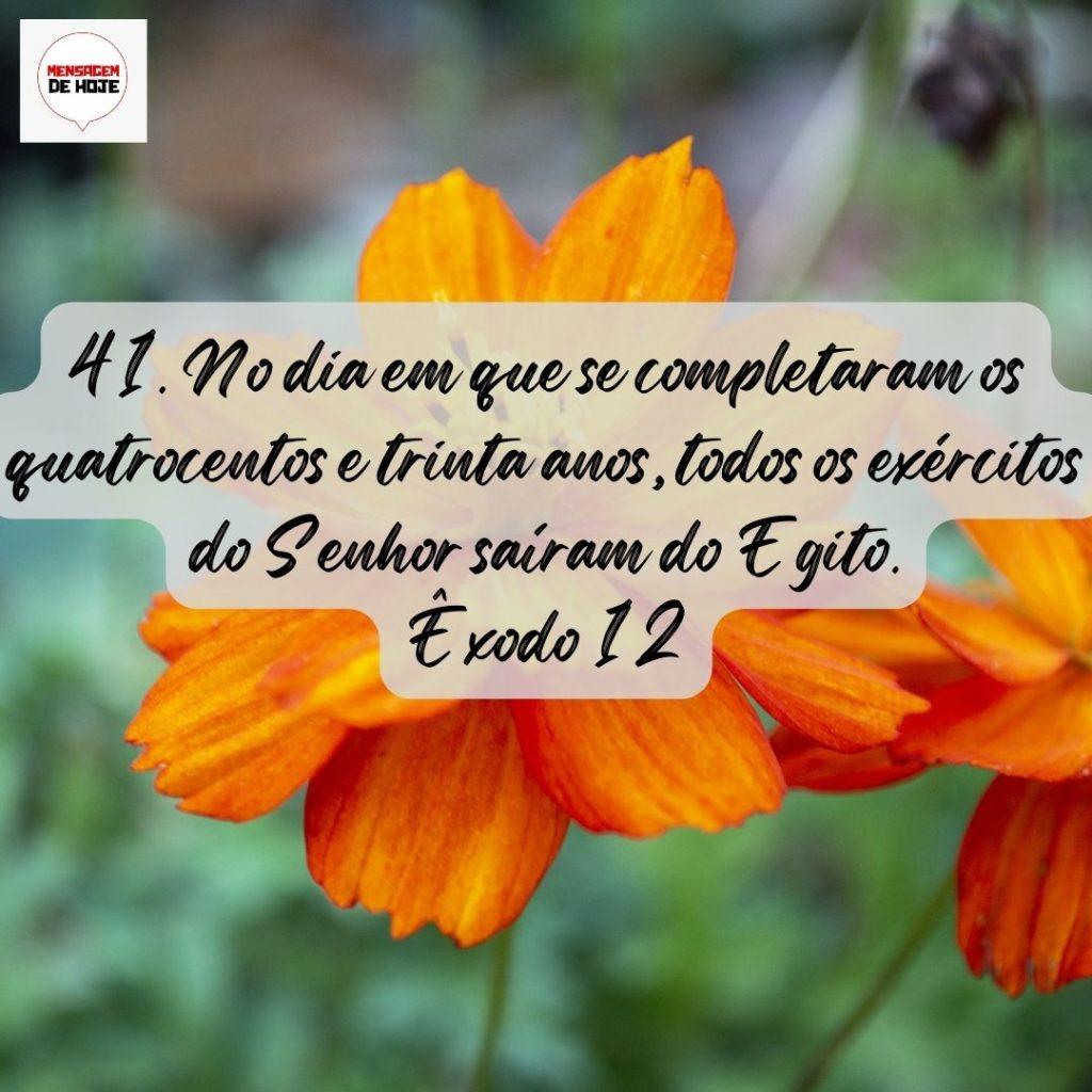 Salmos 09 de Agosto de 2022 1