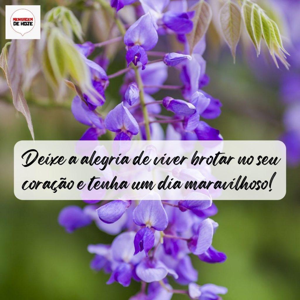 Bom Dia 09 de Agosto de 2022 1