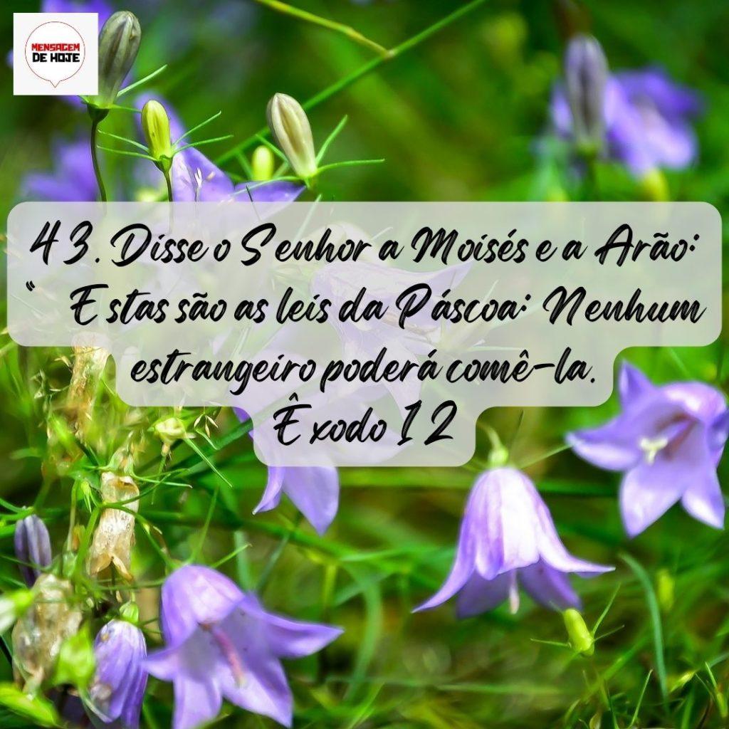 Salmos 09 de Agosto de 2022 5