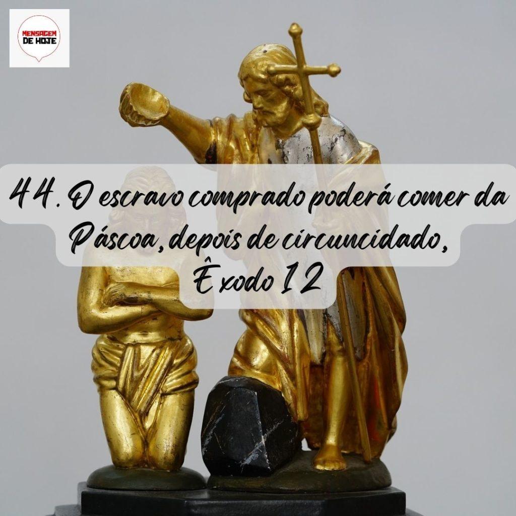 Salmos 09 de Agosto de 2022 7