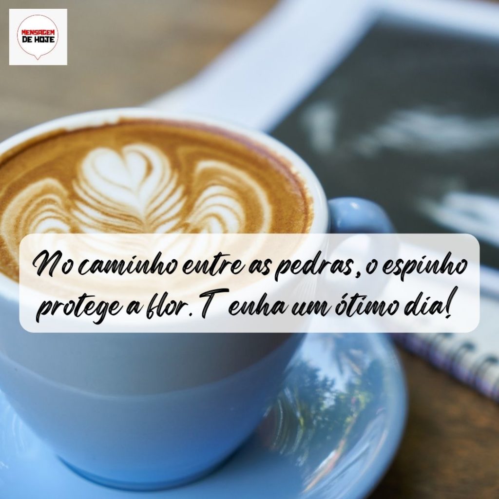 Bom Dia 09 de Agosto de 2022 7