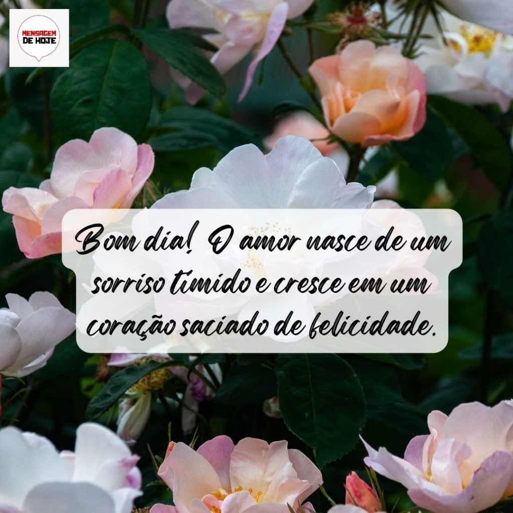 Bom Dia 09 de Agosto de 2022 13