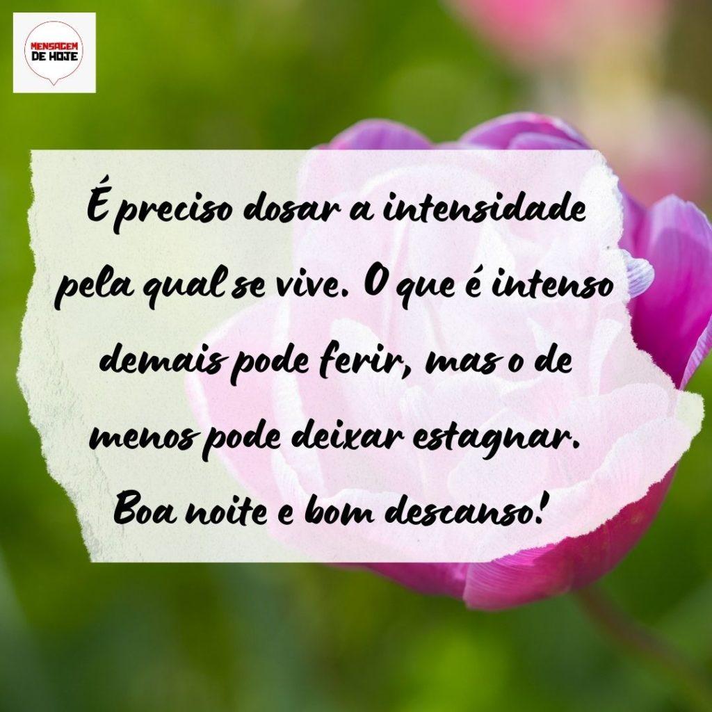 Boa Noite 02 de Agosto de 2022 17