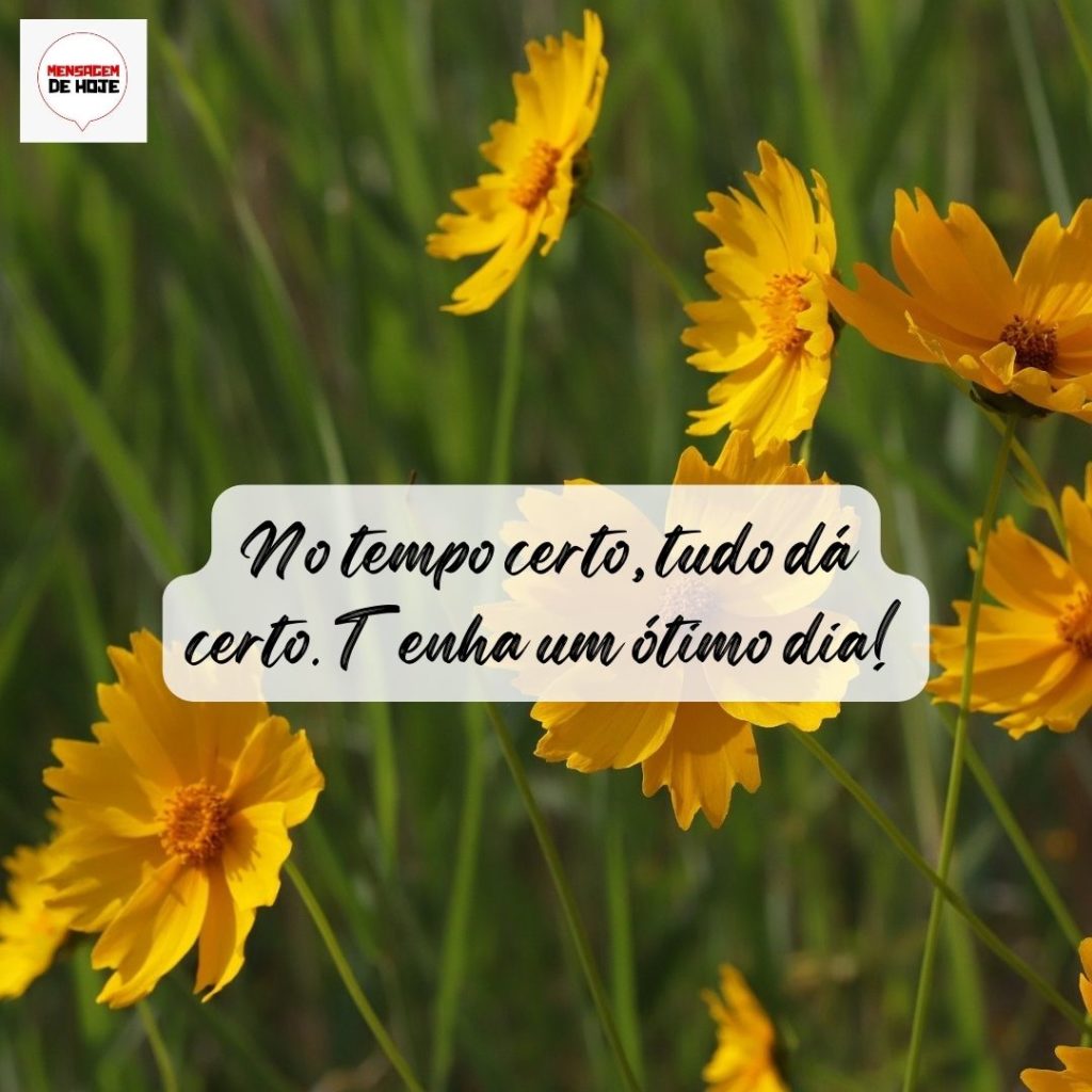 Bom Dia 09 de Agosto de 2022 17