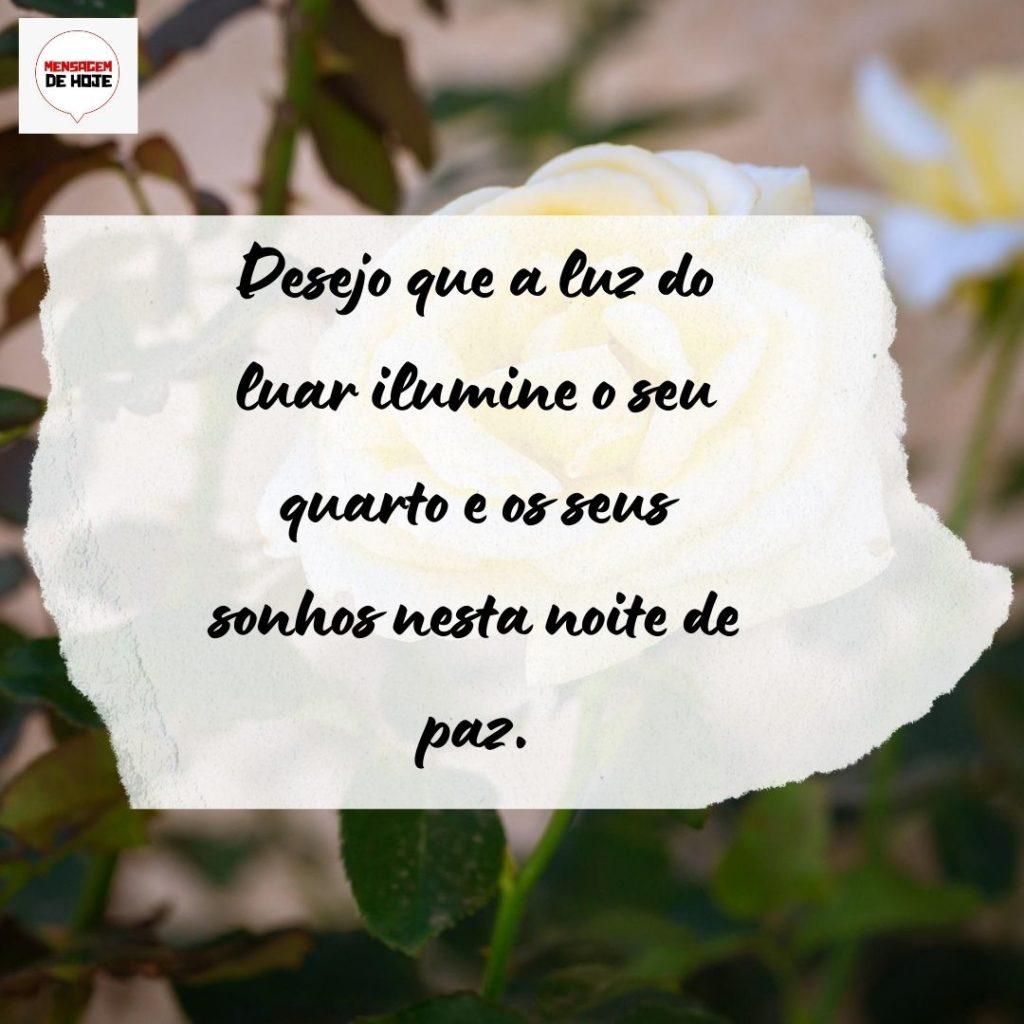 Boa Noite 31 de Julho de 2022 17