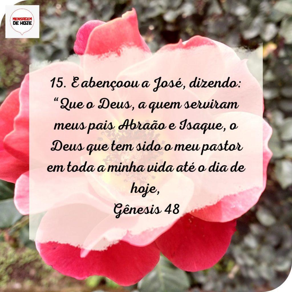 Salmos 26 de Julho de 2022 19
