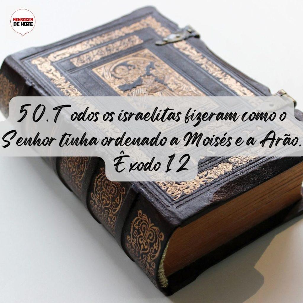 Salmos 09 de Agosto de 2022 19