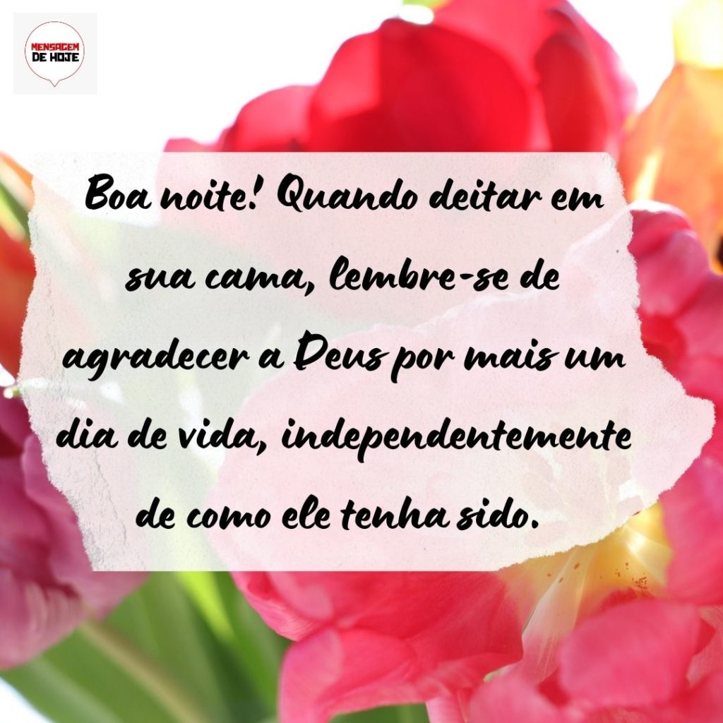 Boa Noite 01 de Agosto de 2022 1