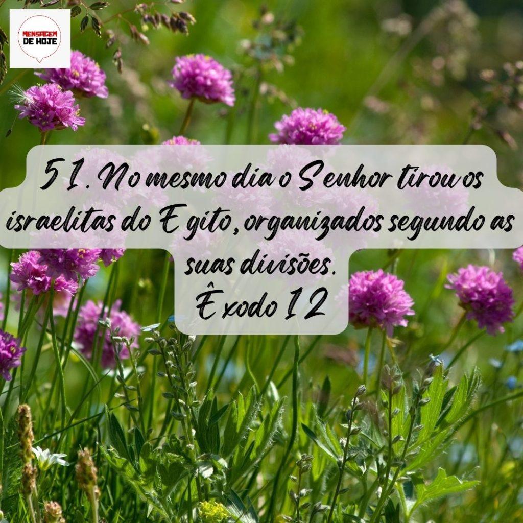 Salmos 10 de Agosto de 2022 1