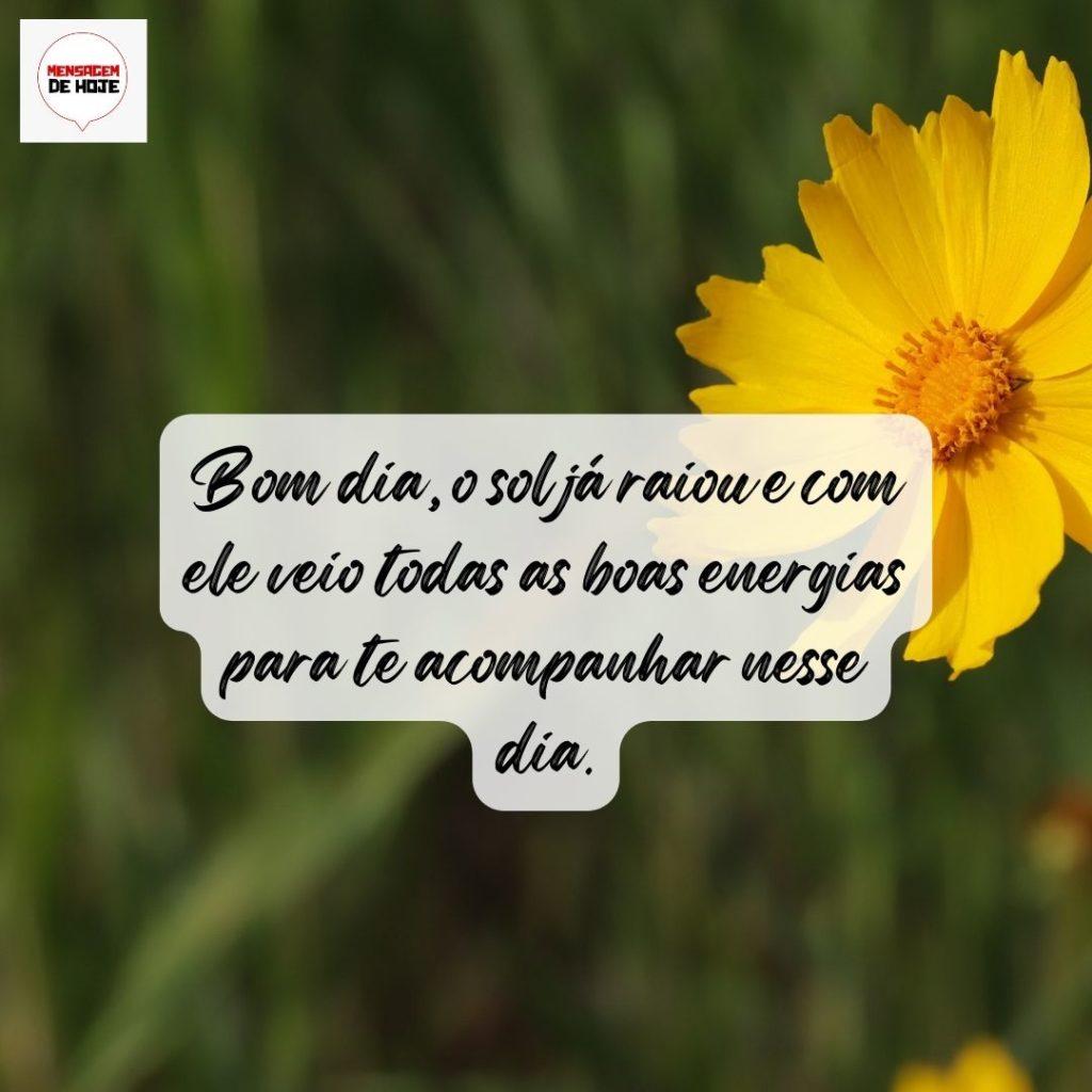 Bom Dia 10 de Agosto de 2022 9