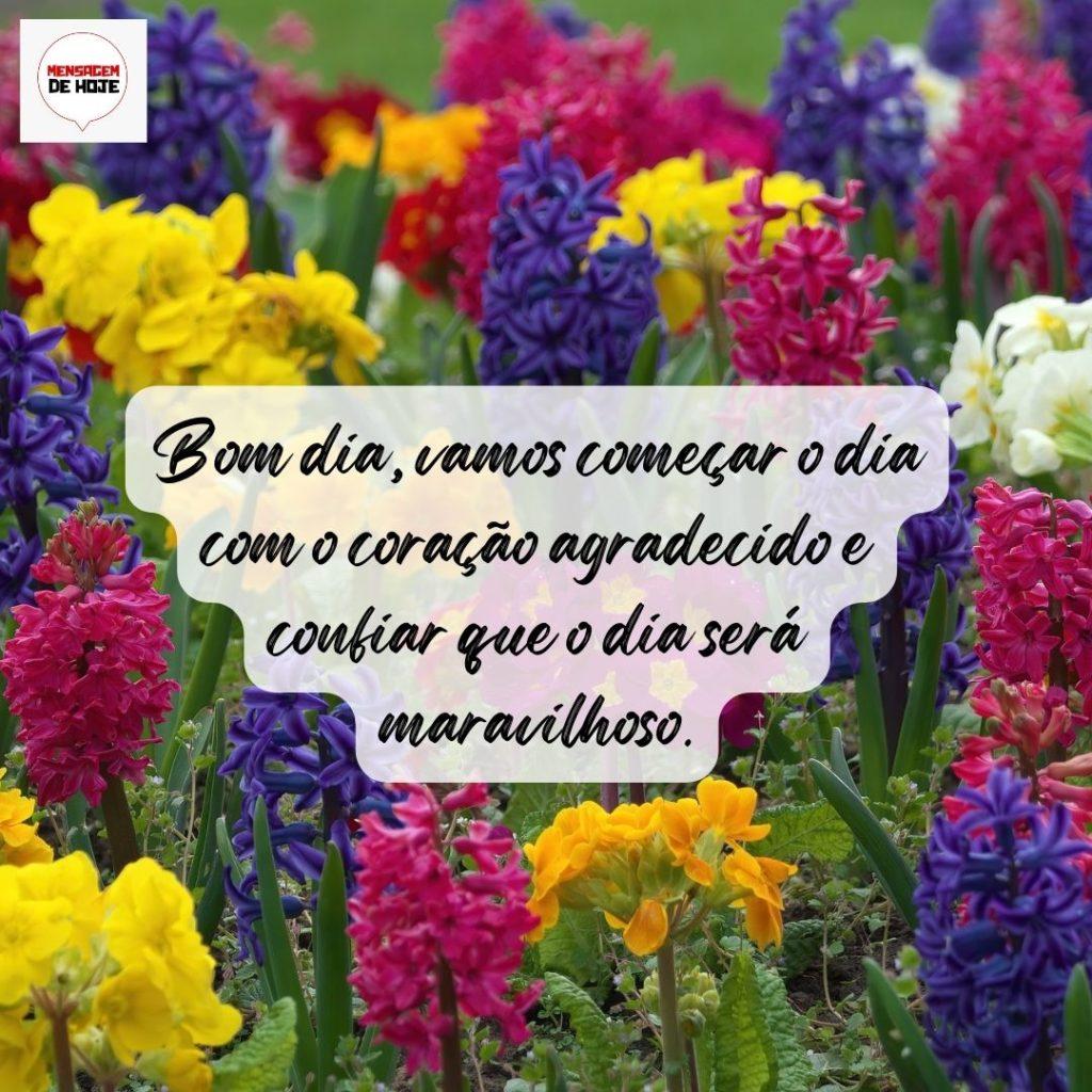 Bom Dia 10 de Agosto de 2022 13