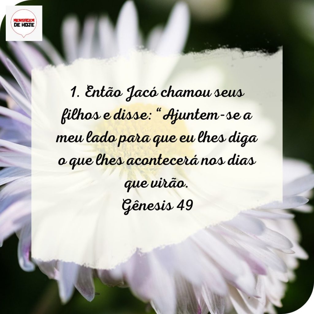 Salmos 27 de Julho de 2022 15