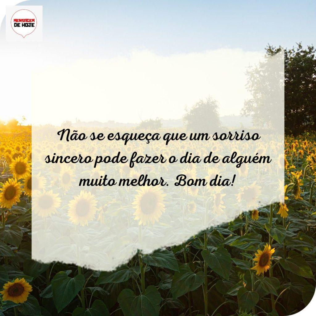 Bom Dia 27 de Julho de 2022 19