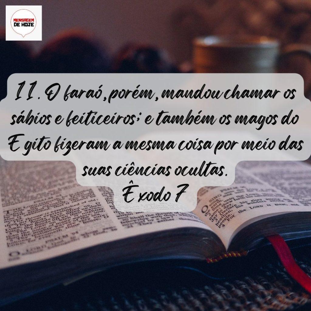 Salmos 29 de Julho de 2022 19