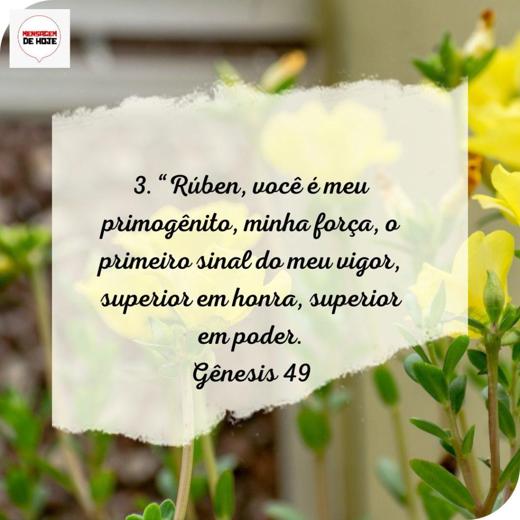 Salmos 27 de Julho de 2022 19