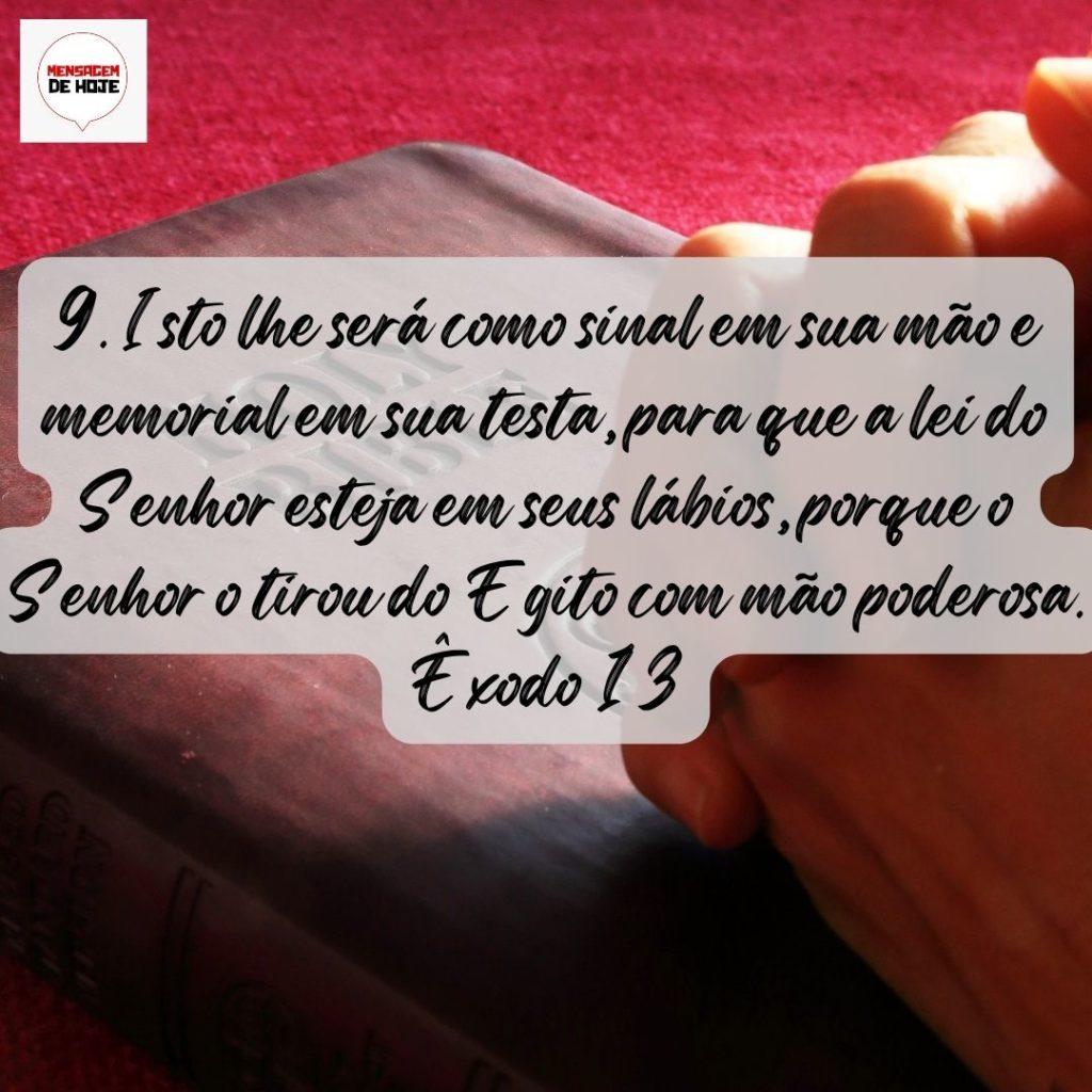 Salmos 10 de Agosto de 2022 19
