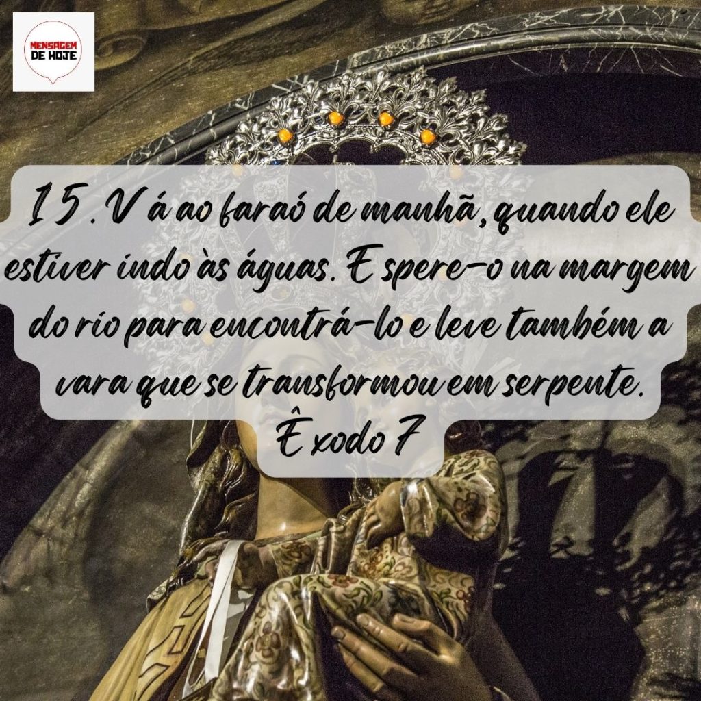 Salmos 30 de Julho de 2022 7
