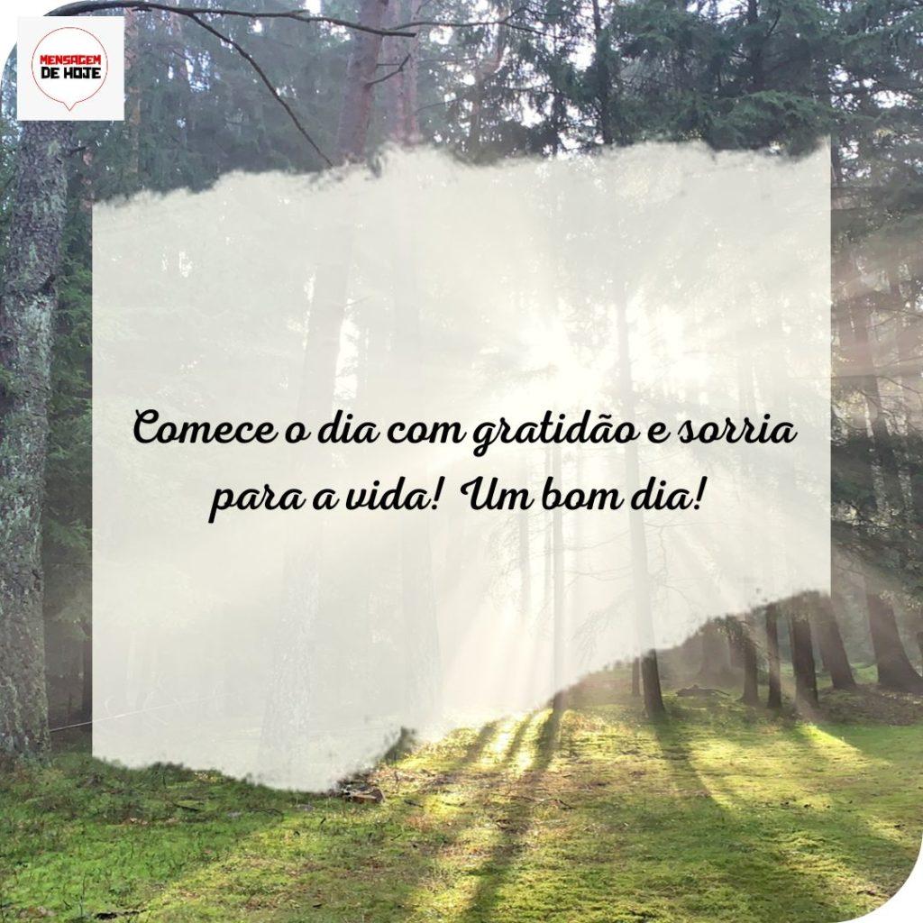 Bom Dia 26 de Julho de 2022 11