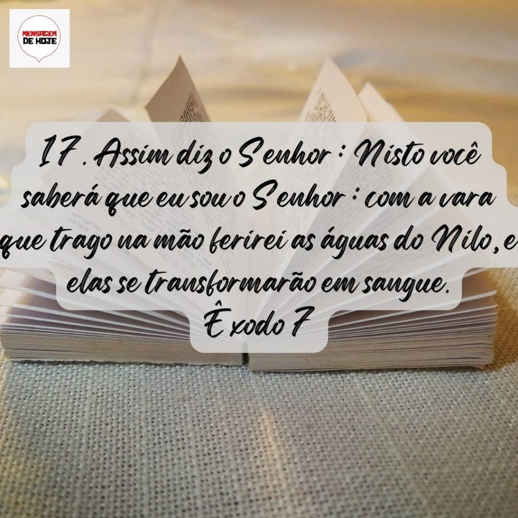 Salmos 30 de Julho de 2022 11