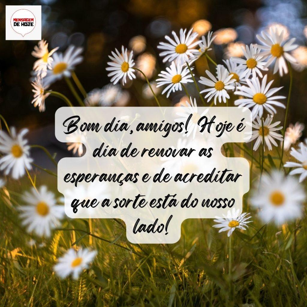 Bom Dia 31 de Julho de 2022 13