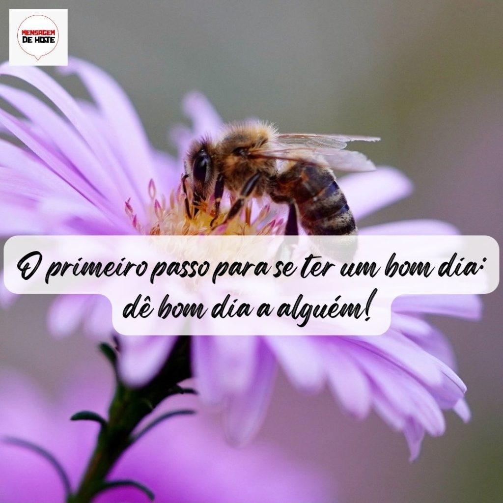 Bom Dia 31 de Julho de 2022 17