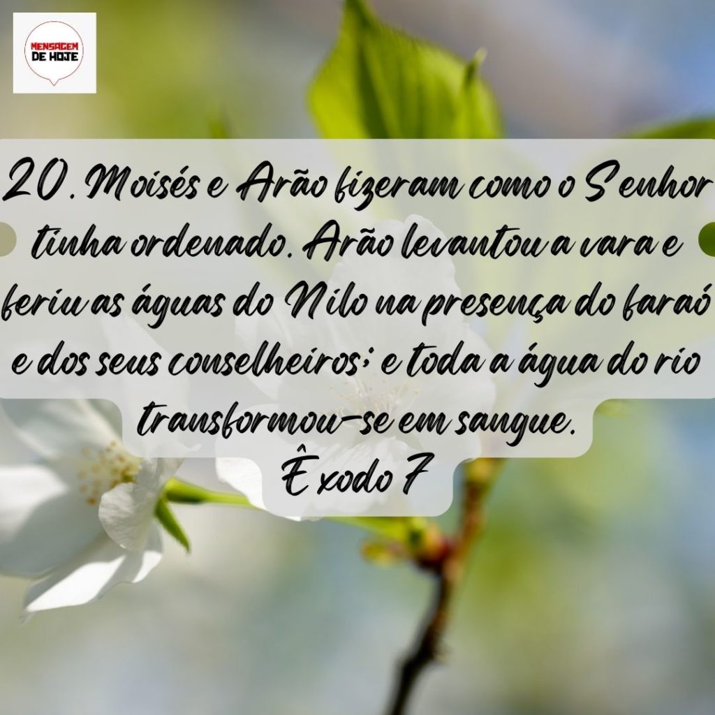 Salmos 30 de Julho de 2022 17