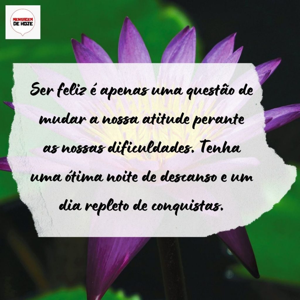 Boa Noite 03 de Agosto de 2022 5