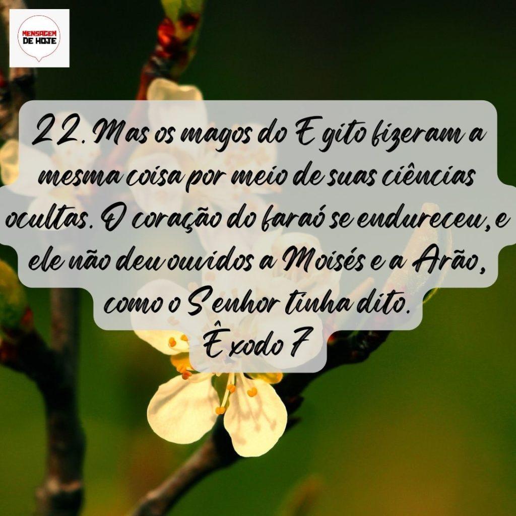Salmos 31 de Julho de 2022 1