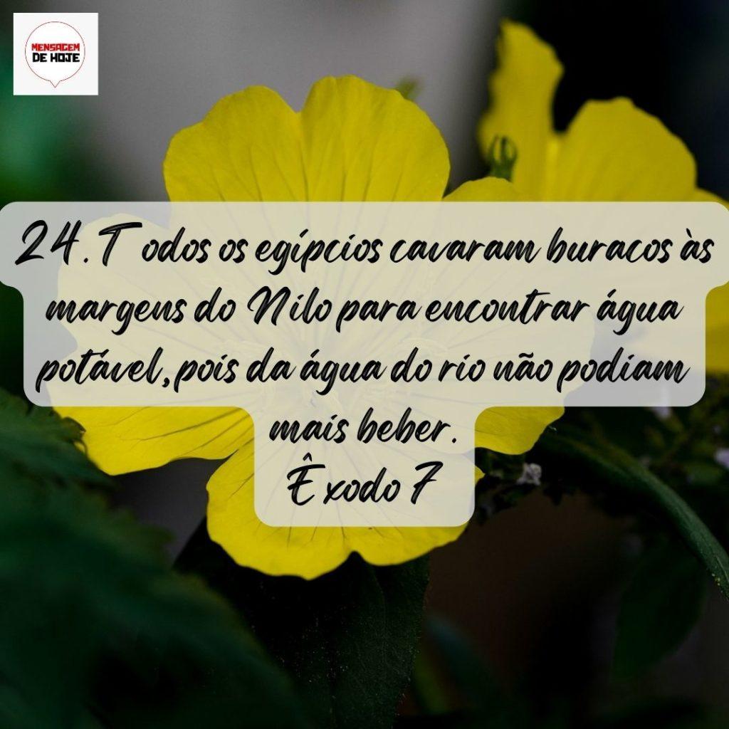Salmos 31 de Julho de 2022 5