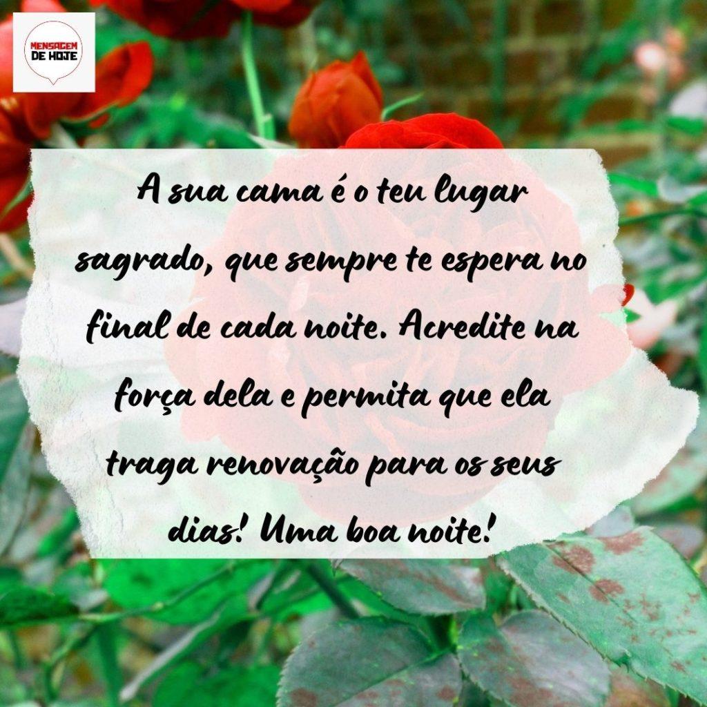 Boa Noite 04 de Agosto de 2022 11