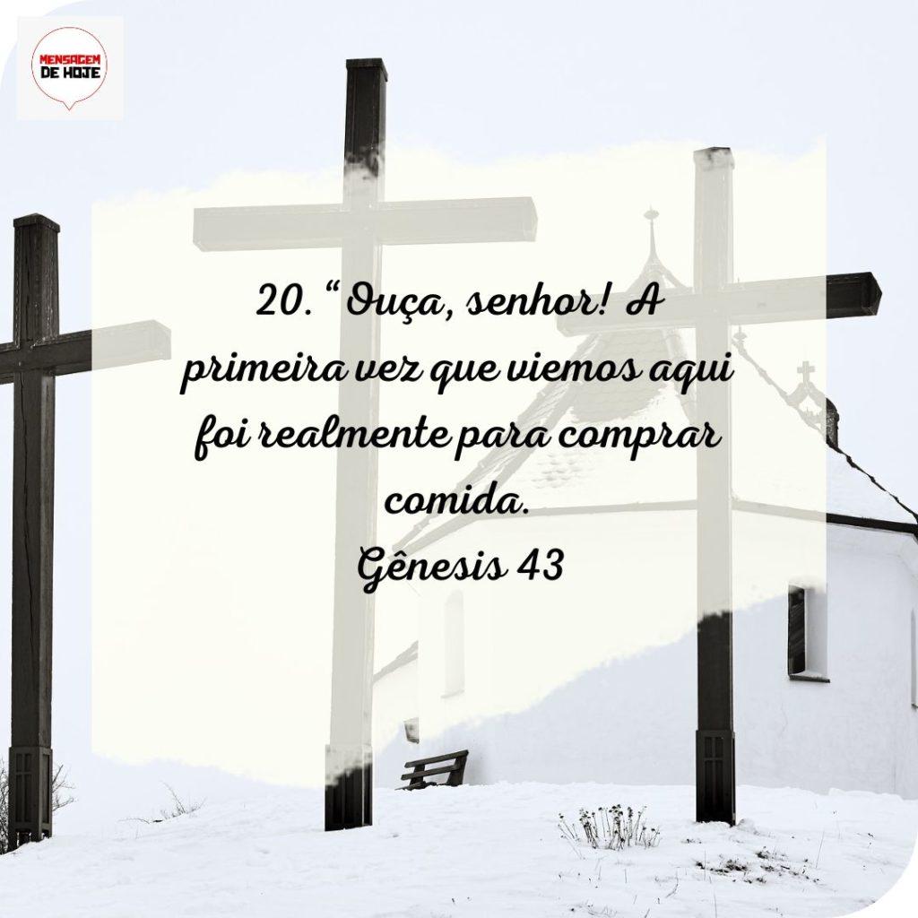 Salmos 20 de Julho de 2022 7